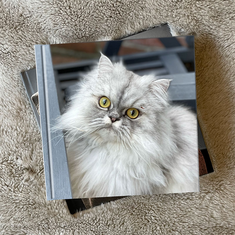 Personalised Cat Photo Book Custom 24 Page Cat Album Jigpaws Personalised Cat Photo Book Custom 24 Page Cat Album Jigpaws