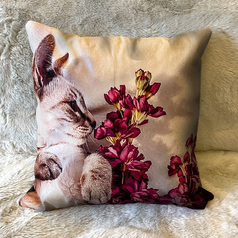 Personalised cat cushion shop